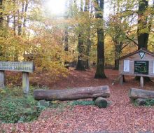 Infotafel im Tierpark Sababurg Hofgeismar
