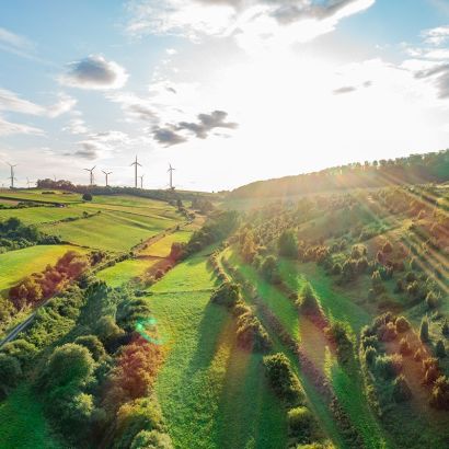 Wachholderheiden am Sommerberg bei Sielen