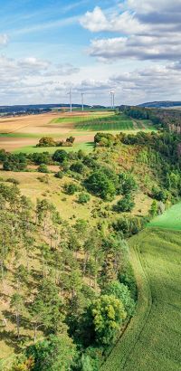 Kalkmagerrasenflächen bei Warburg-Dalheim