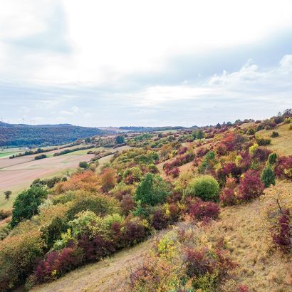 Kalkmagerrasen bei Trendelburg-Deisel
