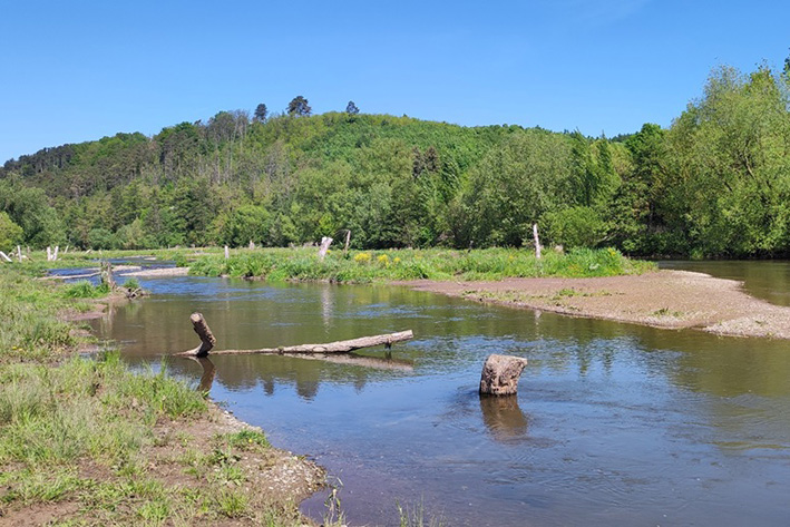 Renaturierung bei Germtee