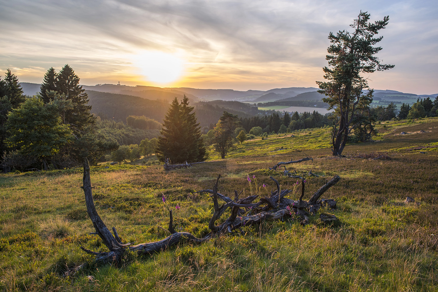 Blick vom Osterkopf/Willingen-Usseln, Naturpark Diemelsee